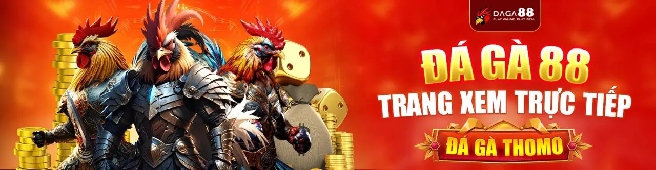 Sân đấu đá gà trực tuyến Nowgoal Win